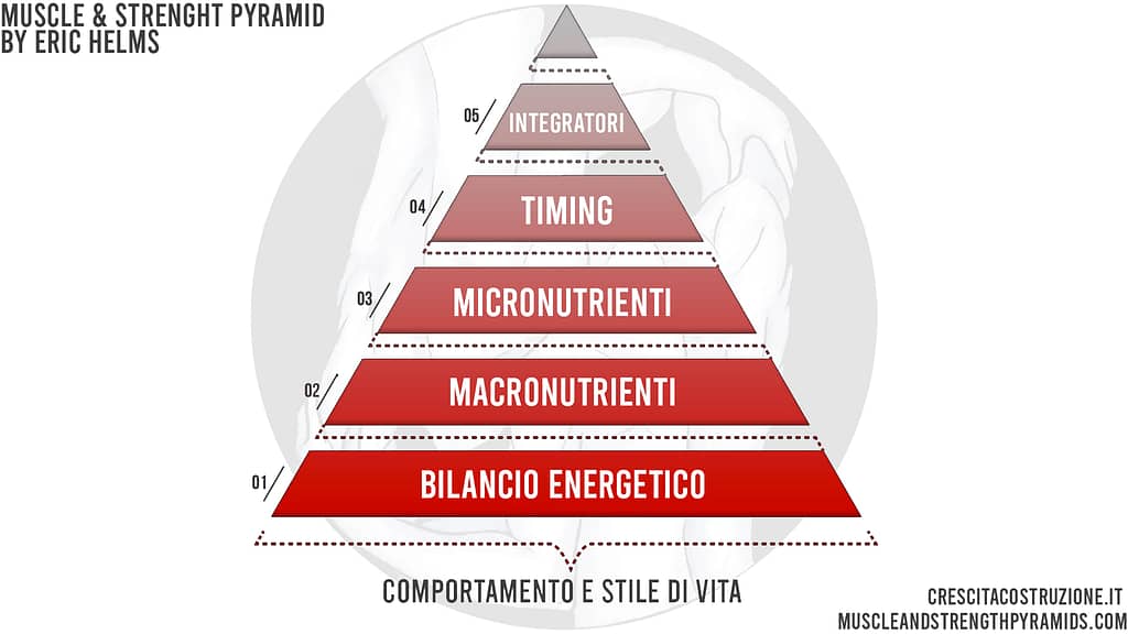 muscle strenght pyramid eric helms italiano crescita costruzione